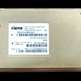 Ciena 160-9114-900