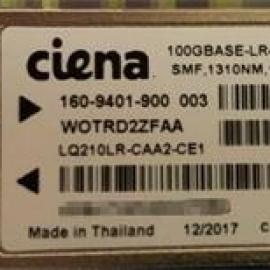 Ciena 160-9401-900