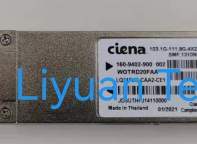 Ciena 160-9603-900