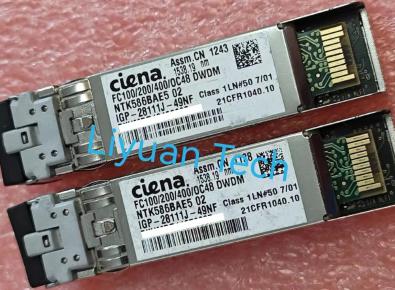 Ciena NTK586BAE5