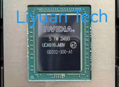 NVIDIA GB202-300-A1