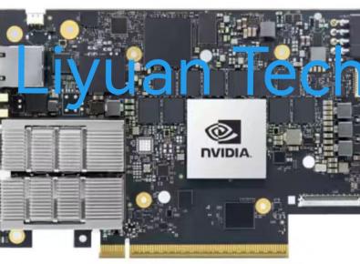 Mellanox 900-9D3B6-00SV-AA0