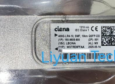 Ciena 160-9608-900